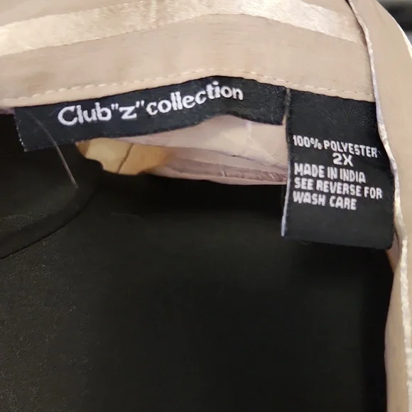 Long, Sheer Beige Blouse - Picture 4 of 4